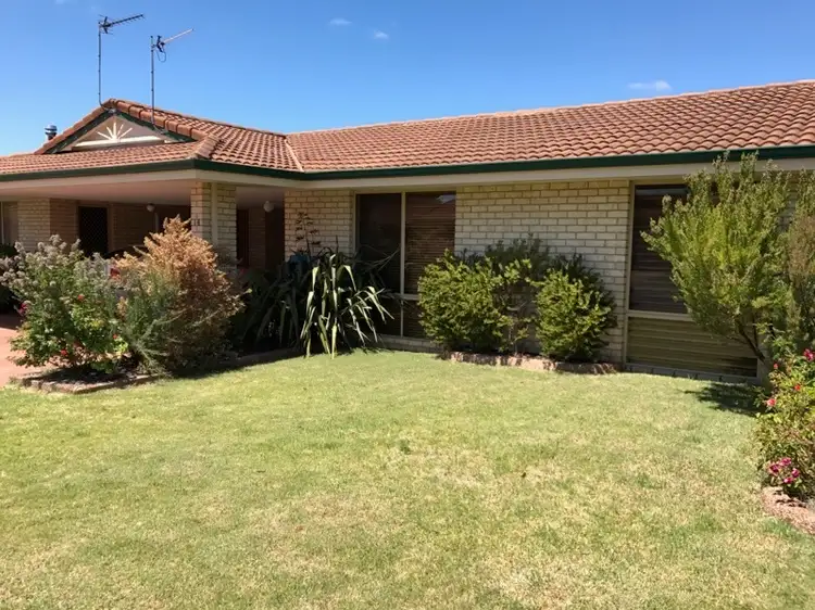 Main view of Homely house listing, Unit 16, 24 Graphite Road, Manjimup WA 6258
