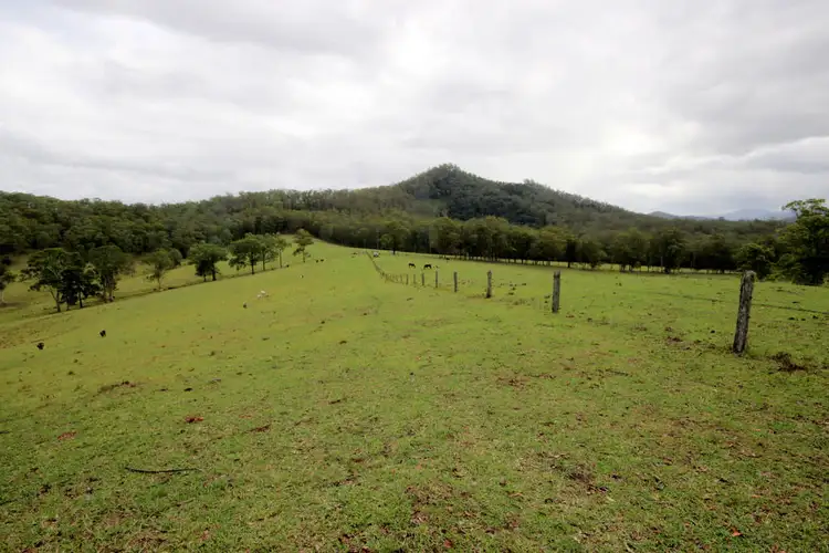Fifth view of Homely rural property listing, 200 Wallis Road, Ellenborough NSW 2446