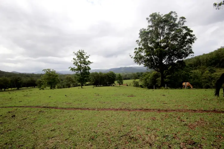 Sixth view of Homely rural property listing, 200 Wallis Road, Ellenborough NSW 2446