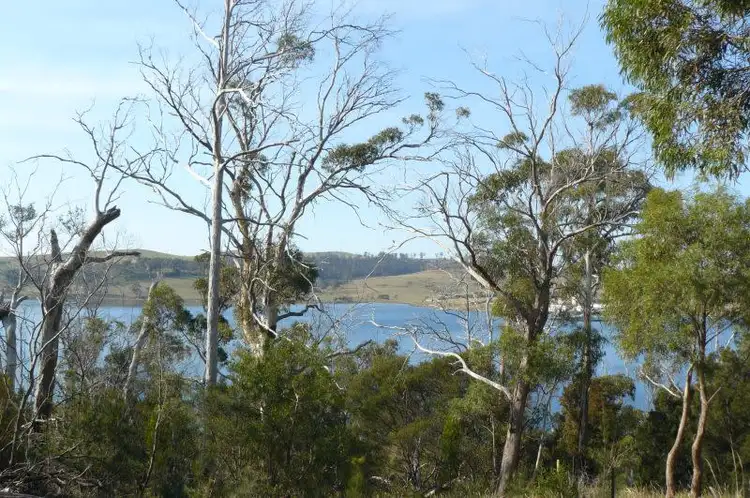 Fourth view of Homely land listing, 89 Barton Avenue, Triabunna TAS 7190
