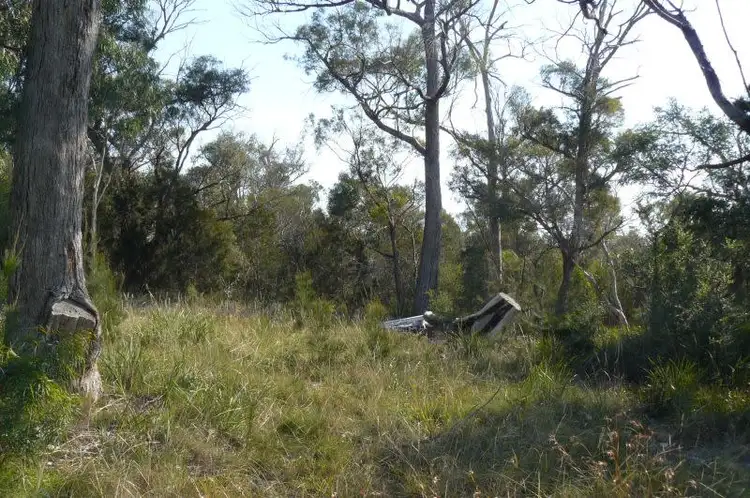 Fifth view of Homely land listing, 89 Barton Avenue, Triabunna TAS 7190