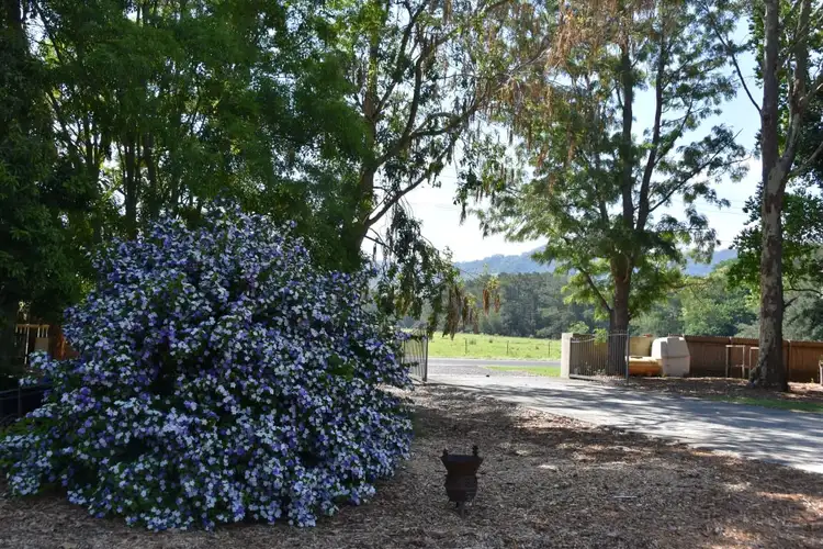 Fifth view of Homely house listing, 990 Jamberoo Road, Jamberoo NSW 2533