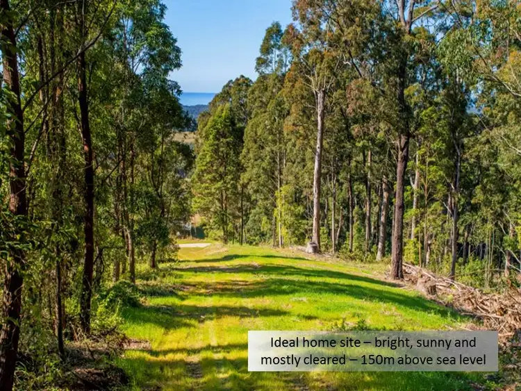 Fourth view of Homely land listing, 135A Hawks Road, Valla NSW 2448