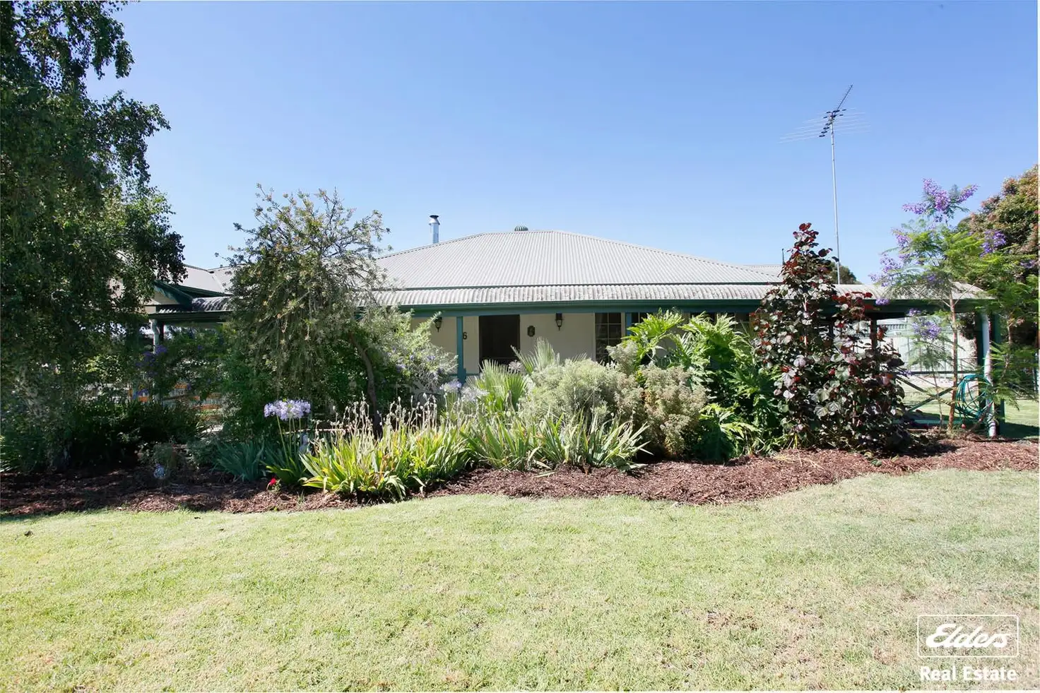 Main view of Homely house listing, 6 David Randall Street, Williamstown SA 5351