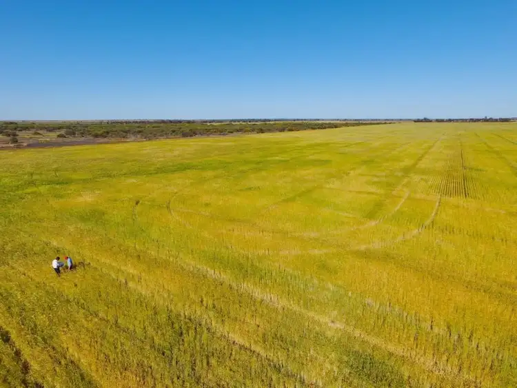 Sixth view of Homely rural property listing, 3240 Cleary-Gabbin Rd, Beacon WA 6472