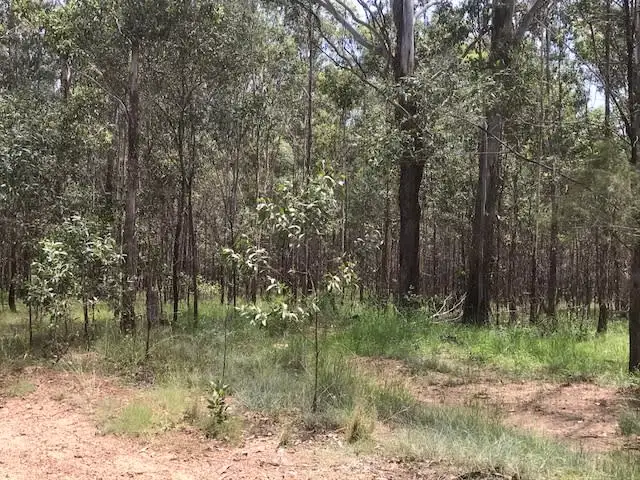 Main view of Homely rural property listing, Lot 2 Clearfield Road, Myrtle Creek NSW 2469