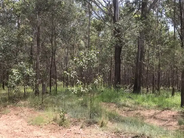 Main view of Homely rural property listing, Lot 2 Clearfield Road, Myrtle Creek NSW 2469