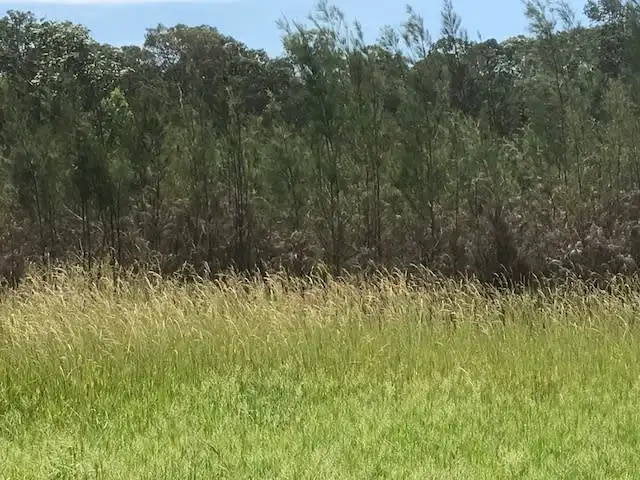 Fourth view of Homely rural property listing, Lot 2 Clearfield Road, Myrtle Creek NSW 2469