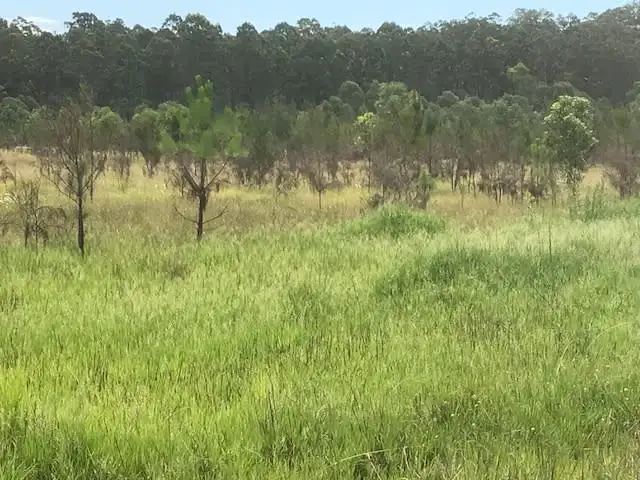 Sixth view of Homely rural property listing, Lot 2 Clearfield Road, Myrtle Creek NSW 2469