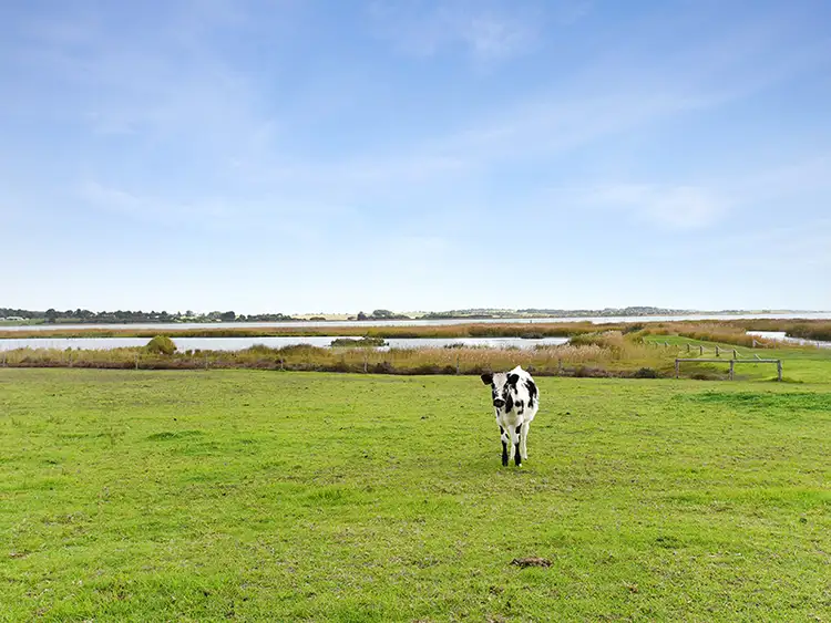 Third view of Homely rural property listing, 9 IBIS ROAD, Clayton Bay SA 5256