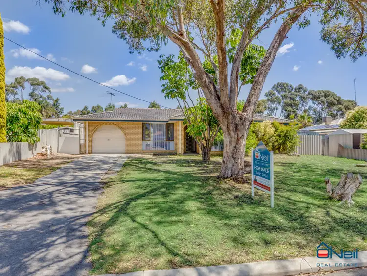 10 Newton Court, Armadale WA 6112