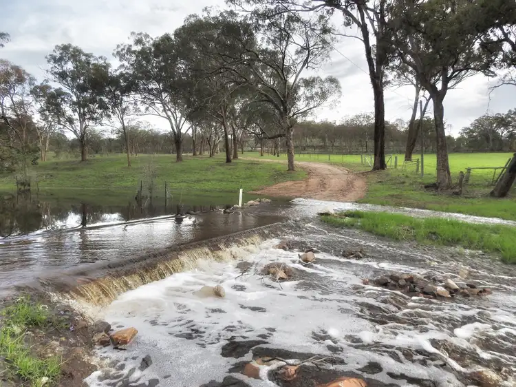 Fourth view of Homely rural property listing, 21677 New England Highway, Dalveen QLD 4374