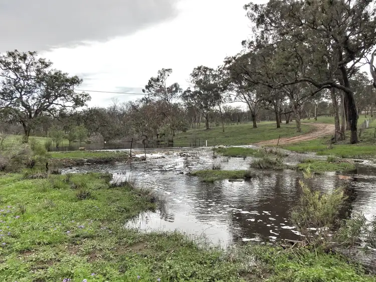 Fifth view of Homely rural property listing, 21677 New England Highway, Dalveen QLD 4374