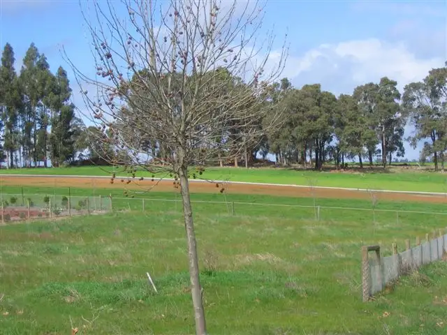 Second view of Homely land listing, Lot 58 Gleneagles Drive, Bridgetown WA 6255
