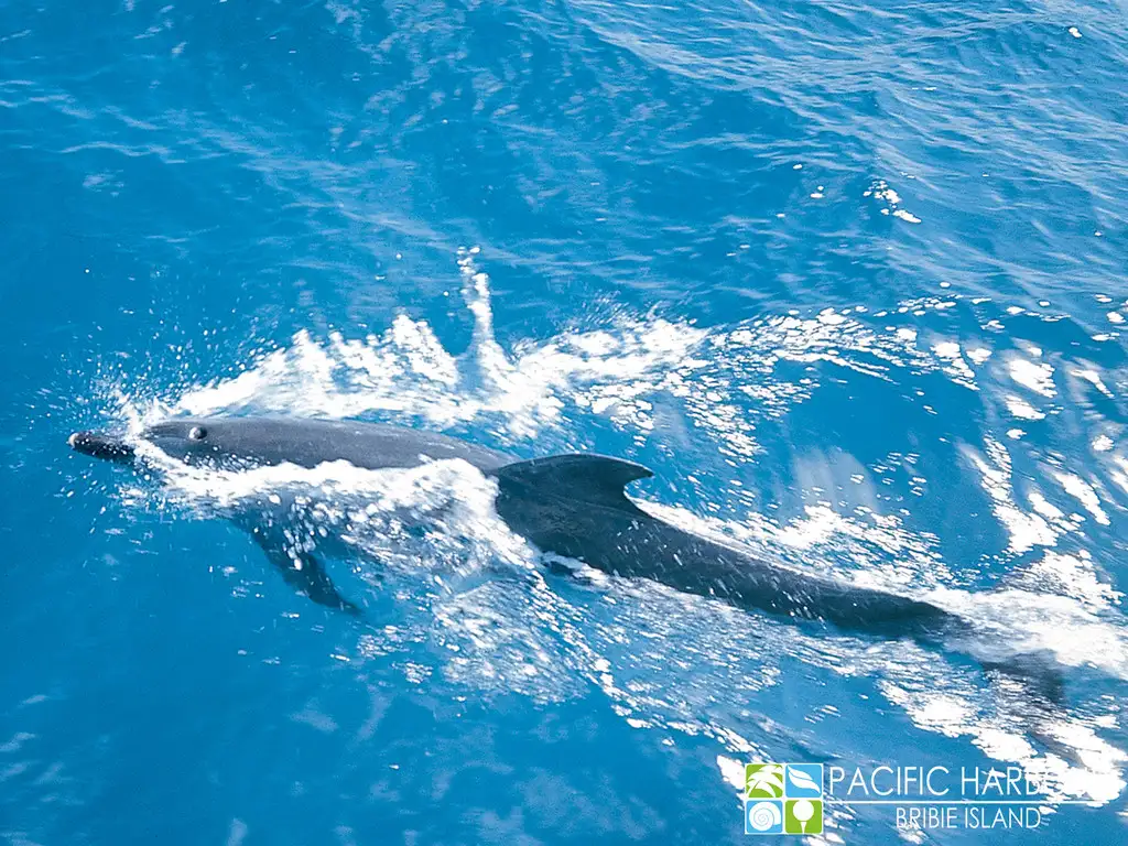 Main view of Homely land listing, Lot 369 Seaside Drive, Banksia Beach QLD 4507