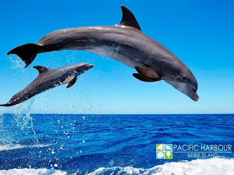 Fifth view of Homely land listing, Lot 364 Seaside Drive, Banksia Beach QLD 4507