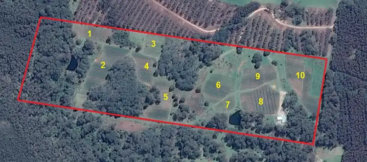 Second view of Homely rural property listing, 314 Loongana, Nietta TAS 7315