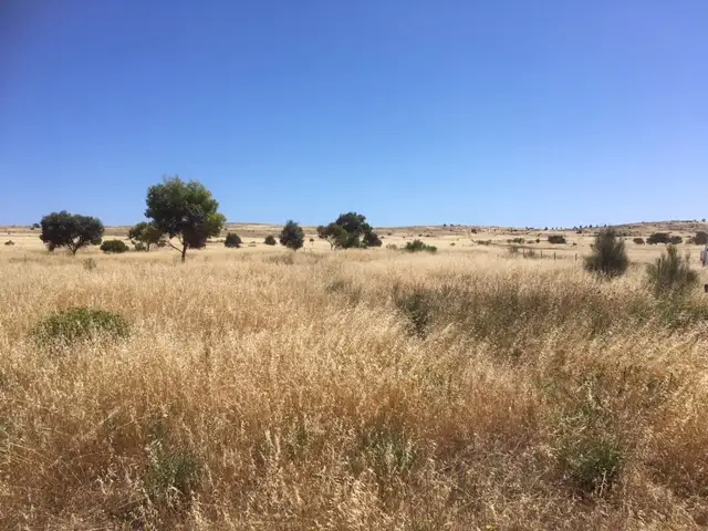 Main view of Homely land listing, Lot 15 Third Street, Sheringa SA 5607