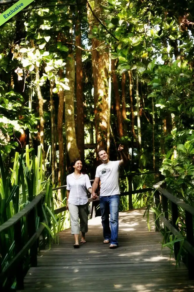 Fifth view of Homely other listing, 6, 35 & 36 Camelot Close CAPE TRIBULATION, Daintree QLD 4873