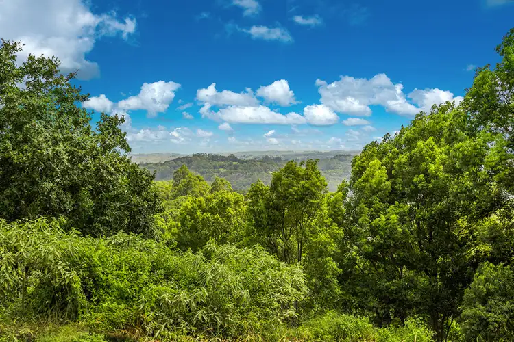 Seventh view of Homely land listing, 25 Goonengerry Road, Goonengerry NSW 2482