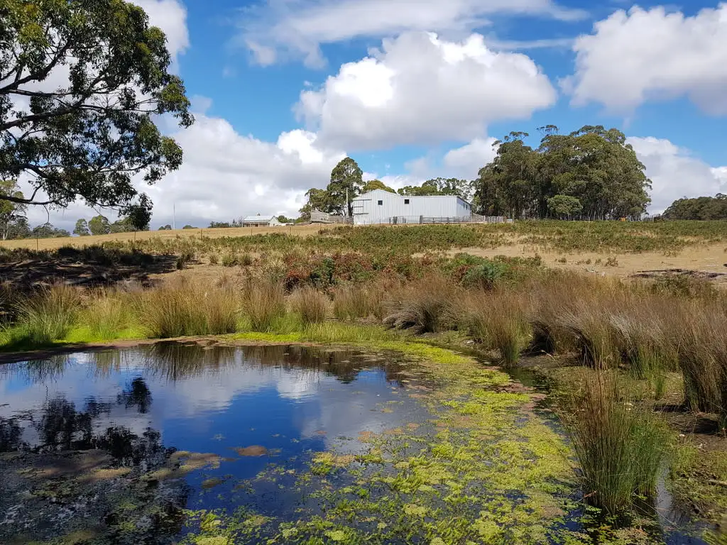 Main view of Homely rural property listing, Lot 2, 909 New Country Marsh Road, Tunnack TAS 7120