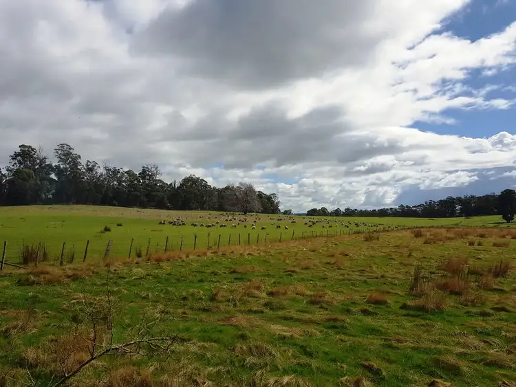 Fifth view of Homely rural property listing, Lot 2, 909 New Country Marsh Road, Tunnack TAS 7120
