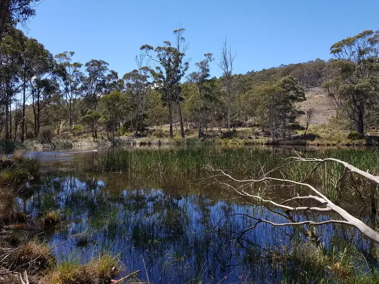 Lot 1, 909 New Country Marsh Road, Tunnack TAS 7120