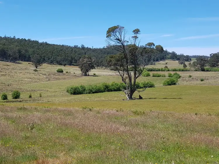 Second view of Homely rural property listing, Lot 1, 909 New Country Marsh Road, Tunnack TAS 7120