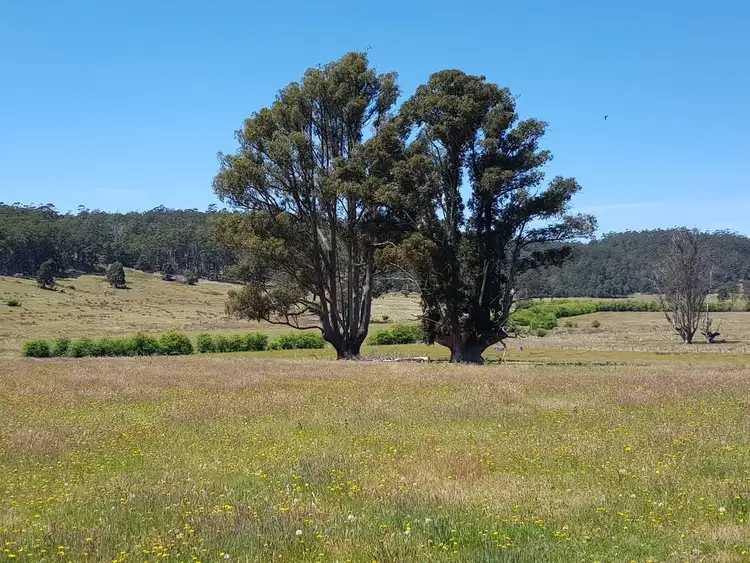 Fourth view of Homely rural property listing, Lot 1, 909 New Country Marsh Road, Tunnack TAS 7120