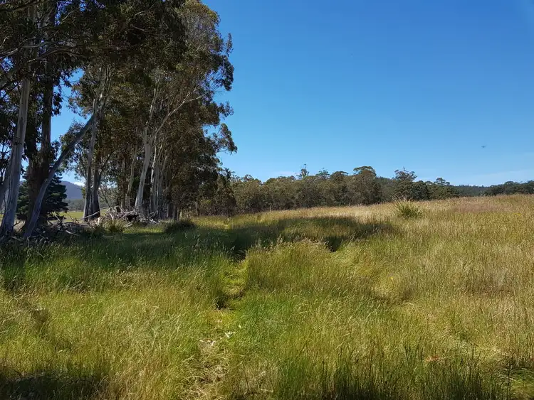Seventh view of Homely rural property listing, Lot 1, 909 New Country Marsh Road, Tunnack TAS 7120