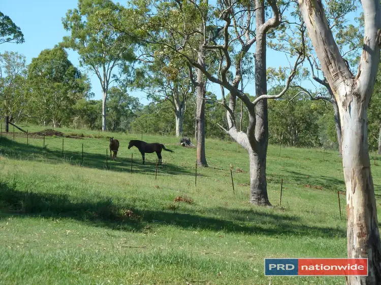 Main view of Homely rural property listing, 901 Afterlee Road, Kyogle NSW 2474