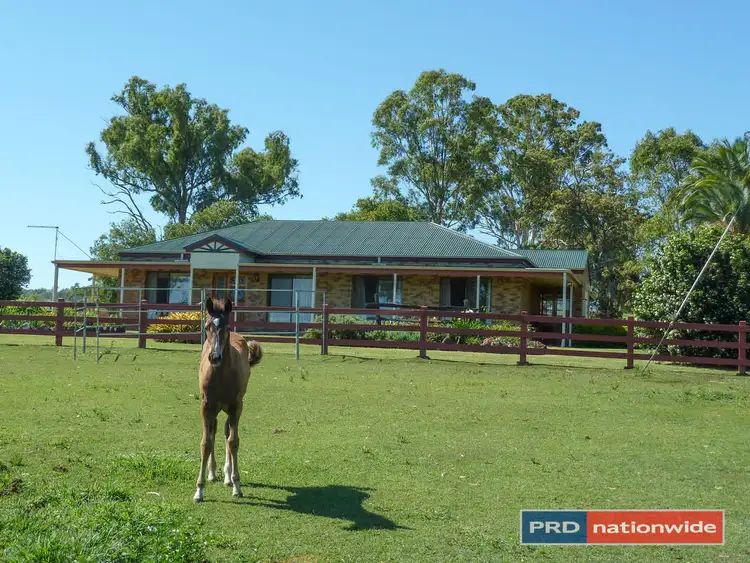 Second view of Homely rural property listing, 901 Afterlee Road, Kyogle NSW 2474