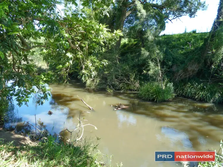 Fourth view of Homely rural property listing, 901 Afterlee Road, Kyogle NSW 2474