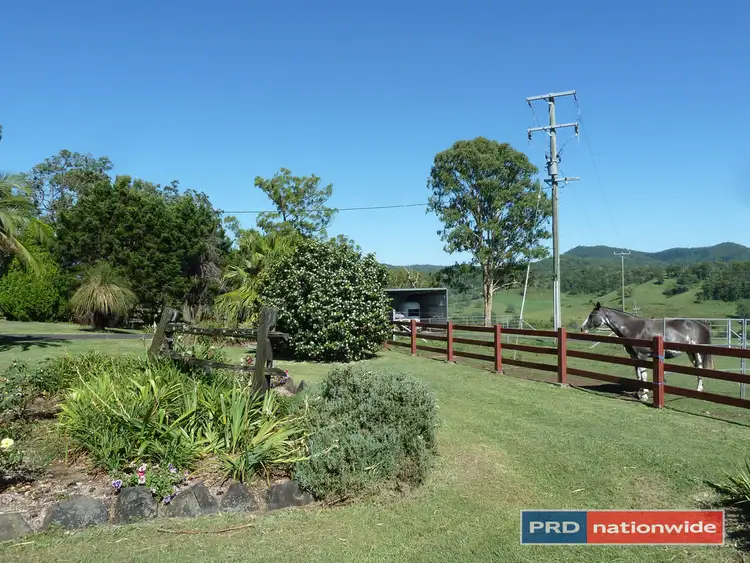 Fifth view of Homely rural property listing, 901 Afterlee Road, Kyogle NSW 2474