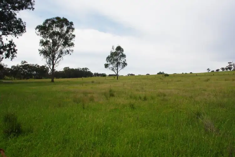 Third view of Homely rural property listing, 141 Wallaroi Road Stuart Town via, Wellington NSW 2820