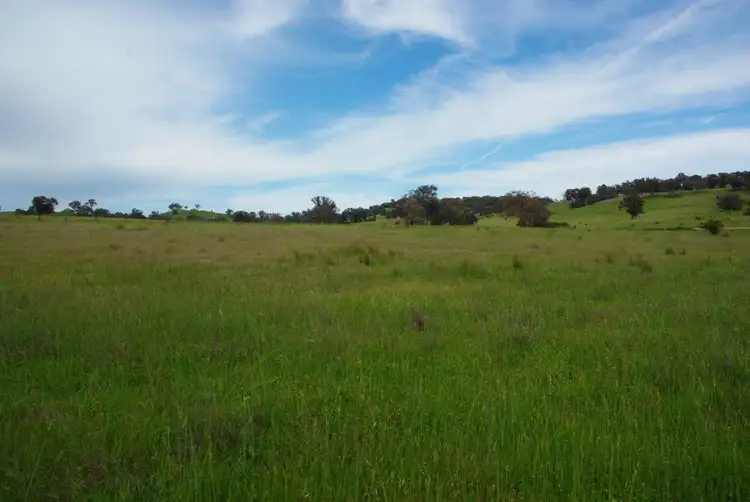 Fourth view of Homely rural property listing, 141 Wallaroi Road Stuart Town via, Wellington NSW 2820