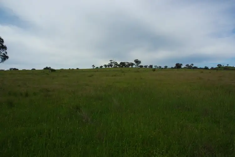 Fifth view of Homely rural property listing, 141 Wallaroi Road Stuart Town via, Wellington NSW 2820