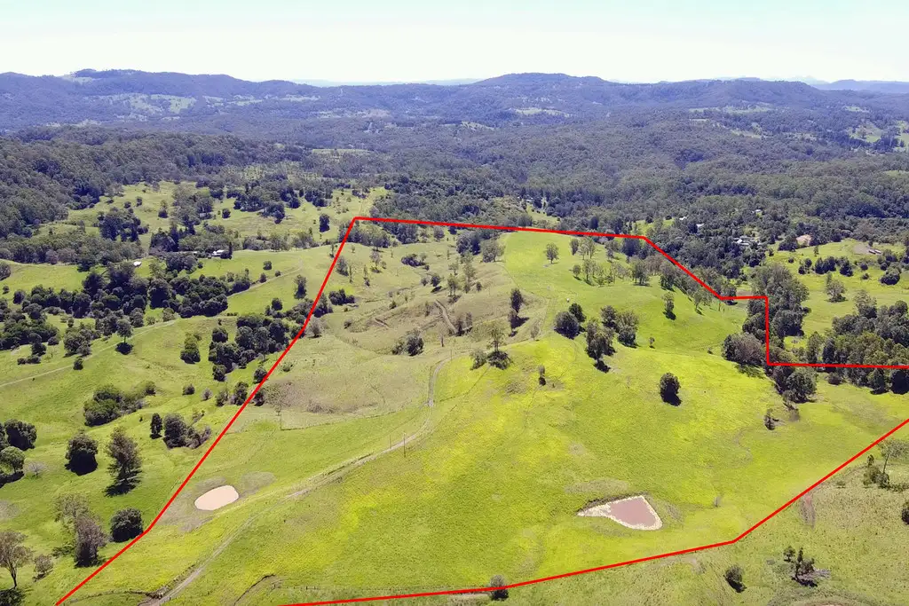 Main view of Homely rural property listing, 157 Whitney Road, Stony Chute NSW 2480