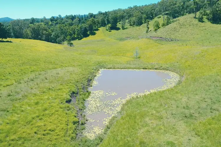 Third view of Homely rural property listing, 157 Whitney Road, Stony Chute NSW 2480