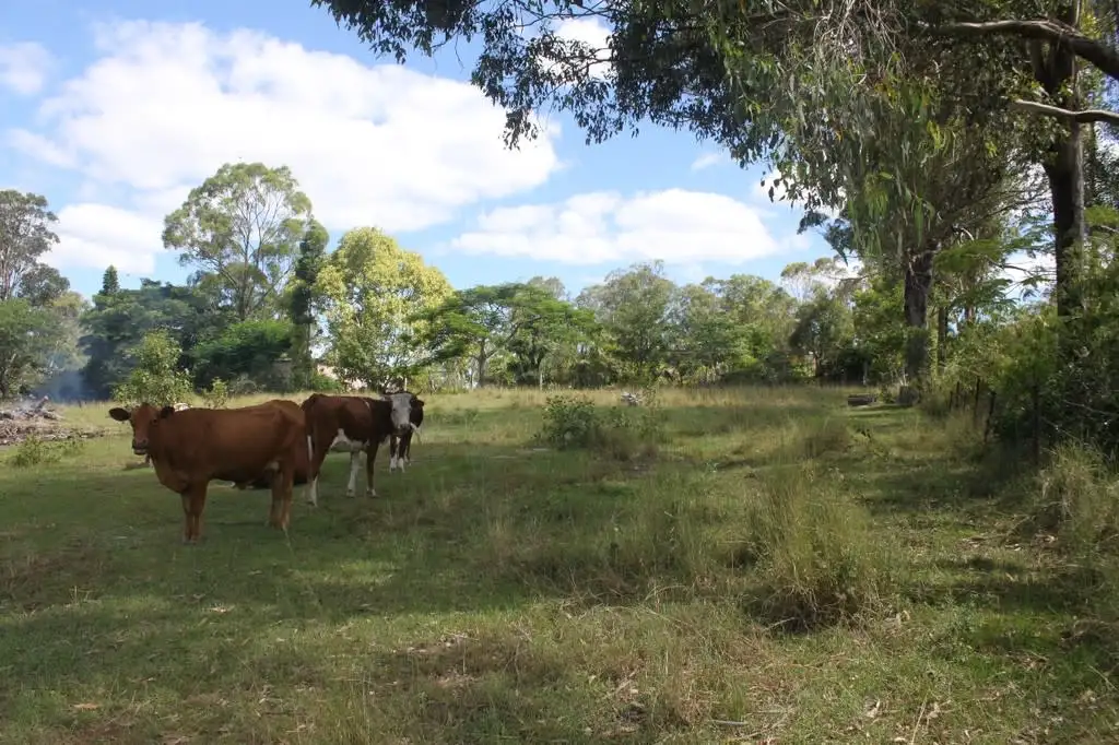 Main view of Homely land listing, 217 Eel Creek Road, Southside QLD 4570