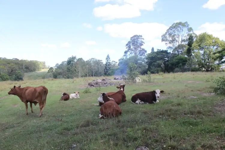 Fifth view of Homely land listing, 217 Eel Creek Road, Southside QLD 4570