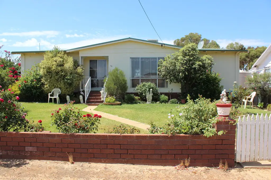 Main view of Homely house listing, 45 Goldfields Rd, Dowerin WA 6461