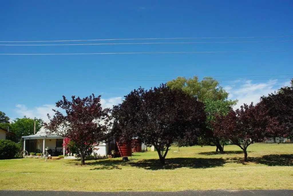 Main view of Homely house listing, 5 King Street, Yeoval NSW 2868