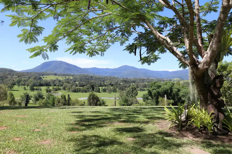 Third view of Homely rural property listing, 37 Morton Road, Nimbin NSW 2480