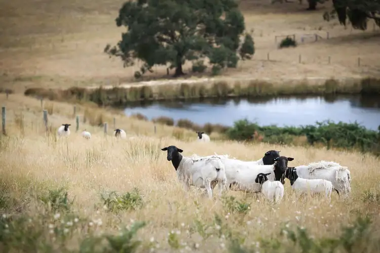 Second view of Homely rural property listing, 51 McEwin Rd (via Sawpit Rd), Hindmarsh Valley SA 5211