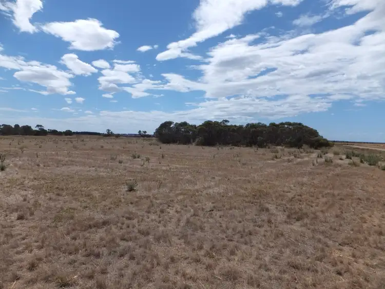 Second view of Homely land listing, Lot 501 Daviesia Drive, Hopetoun WA 6348