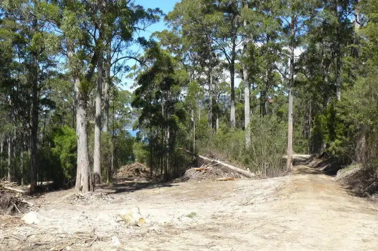 Second view of Homely land listing, Lot 1 Lyndal Drive, Eaglehawk Neck TAS 7179