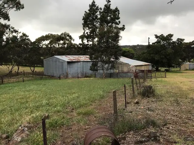 Second view of Homely rural property listing, 1339 Ngapala Road, Ngapala SA 5374