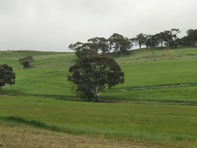 Third view of Homely rural property listing, 1339 Ngapala Road, Ngapala SA 5374