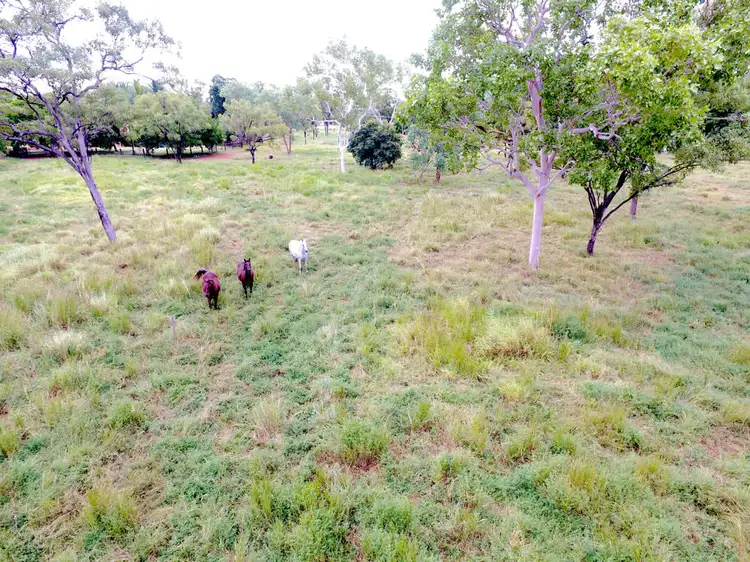 Fifth view of Homely rural property listing, 740 Florina Rd, Katherine NT 850